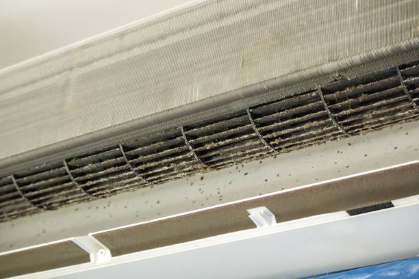 Best Air Duct Cleaning Near Me in WY